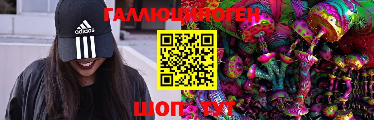 Псилоцибиновые грибы Psilocybine cubensis  Вход с VPN  Ростов Великий 